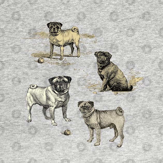 PUG DOGS by Biophilia